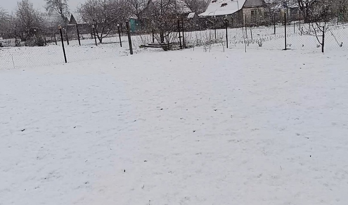 Несколько районов Пензенской области запорошило снегом